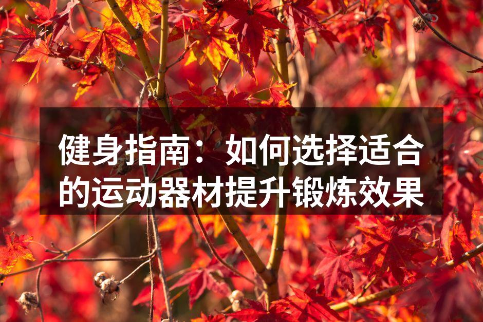 多功能训练器，提升锻炼效果